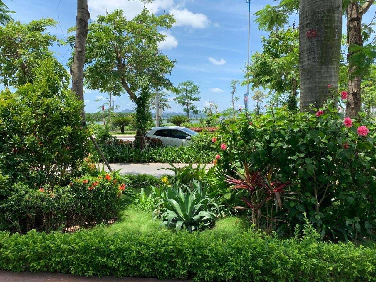Sunday Premium Apartment 下龍 外观 照片
